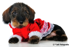 Millie_FHA_2757_web