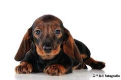 Murdock_FHA_2701_web