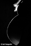 FHA_2370_web